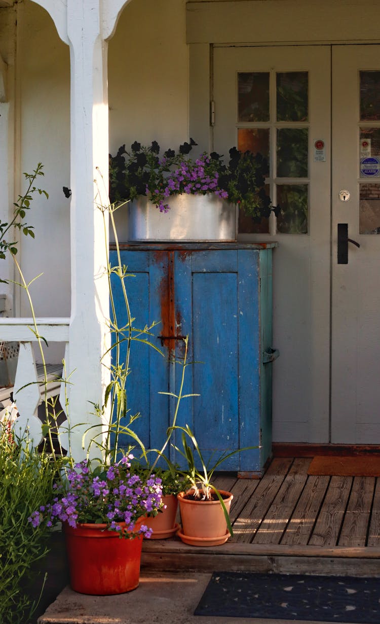 Potted Plants On Porch