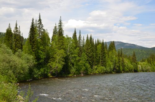 Free A serene river flowing through lush green forests under a blue sky, showcasing natural beauty and tranquility. Stock Photo