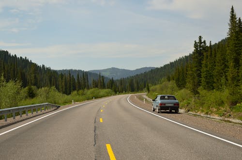 고속도로, 나무, 도로의 무료 스톡 사진