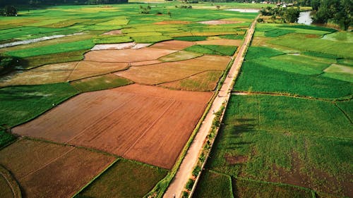 印尼, 景觀, 田 的 免費圖庫相片