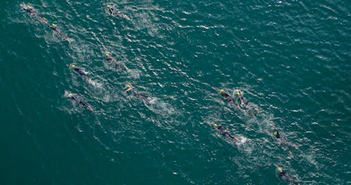 Free Group of People Swimming on Beach Stock Photo
