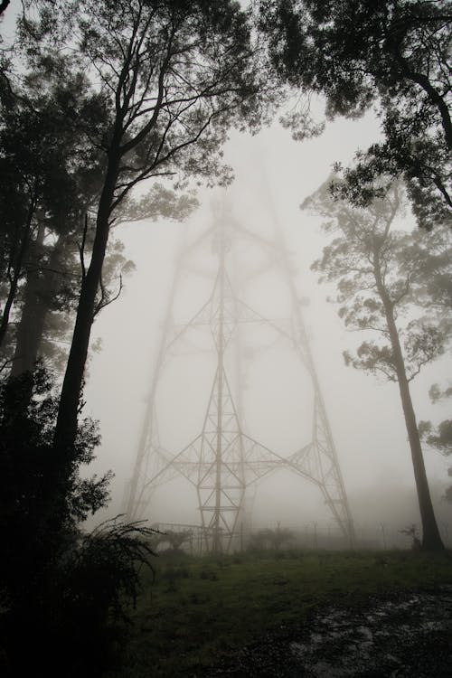 Steel Tower in the Forest Surrounded with Fog