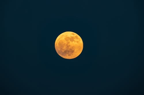 Foto d'estoc gratuïta de cel nocturn, fotografia de lluna, lluna plena