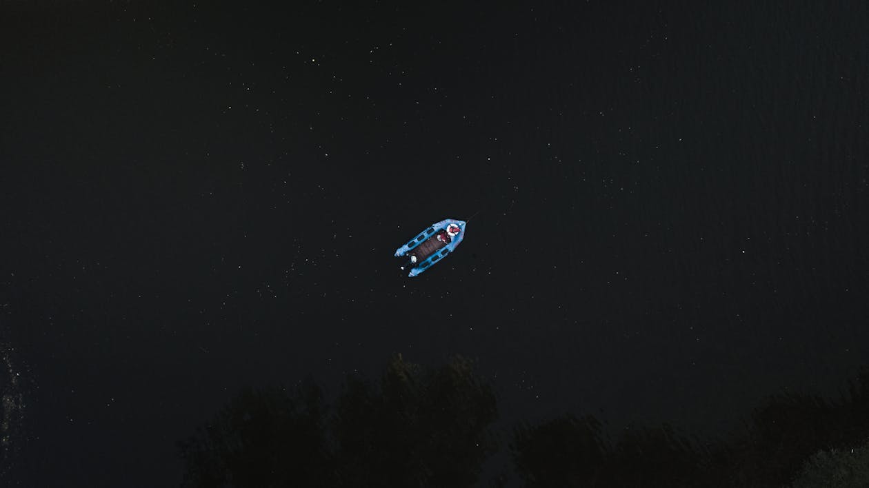 Ingyenes stockfotó drón, éjszaka, fák témában