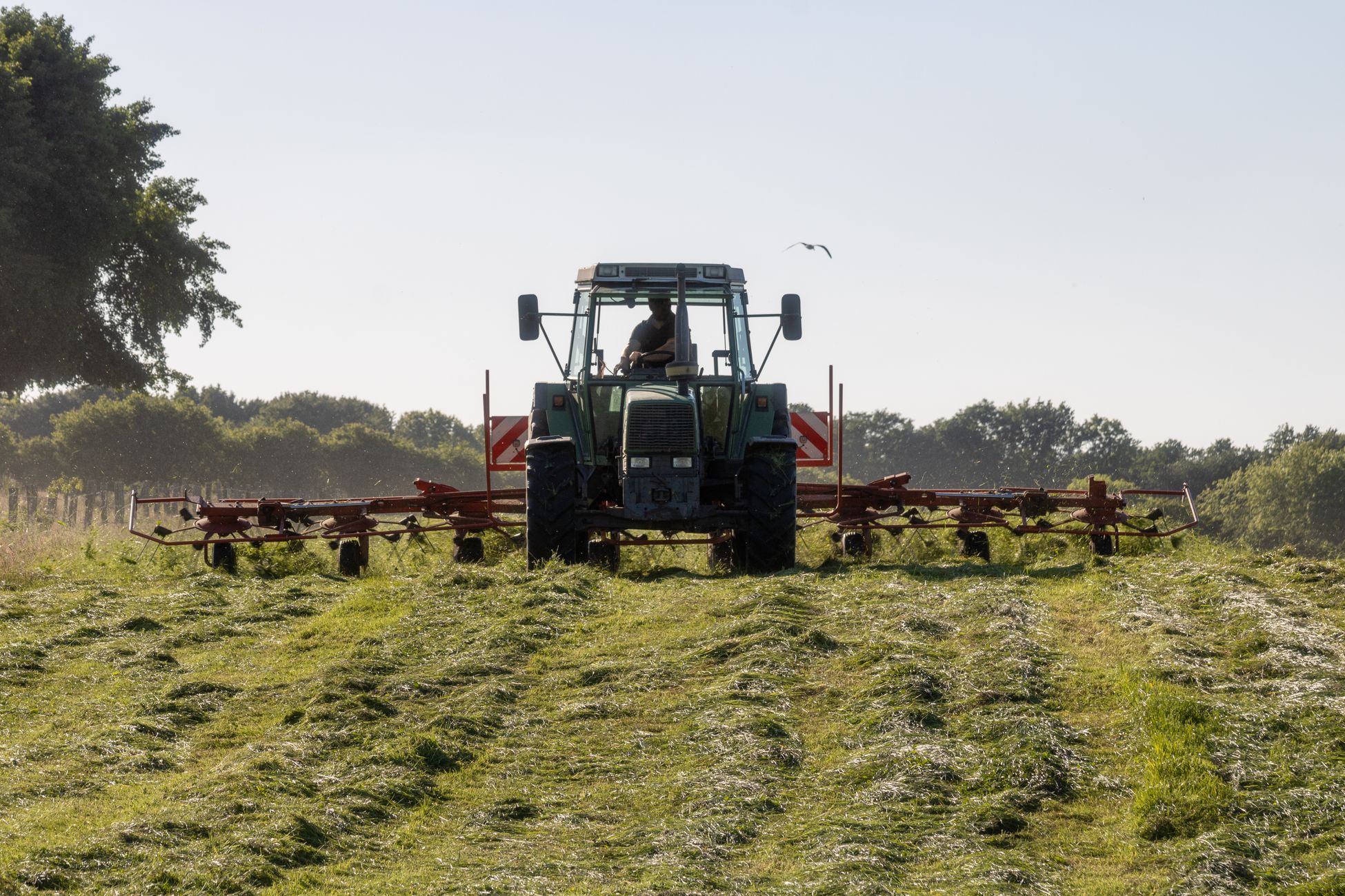 Rechter geeft provincie gelijk: boeren zonder natuurvergunning mogen doorwerken