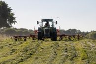 Fendt tractor turning hay on meadow