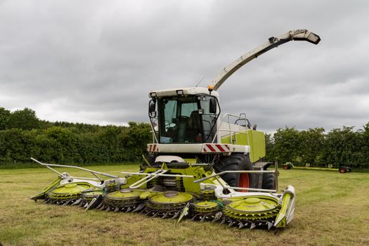 Claas Jaguar chopper standing on meadow