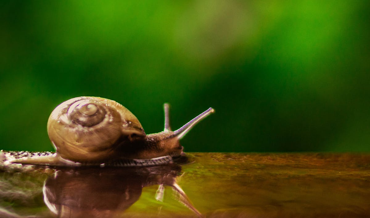 Technician inspecting a laptop motherboard under magnification