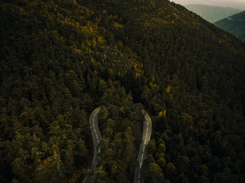 Photos gratuites de arbres, drone, montagne