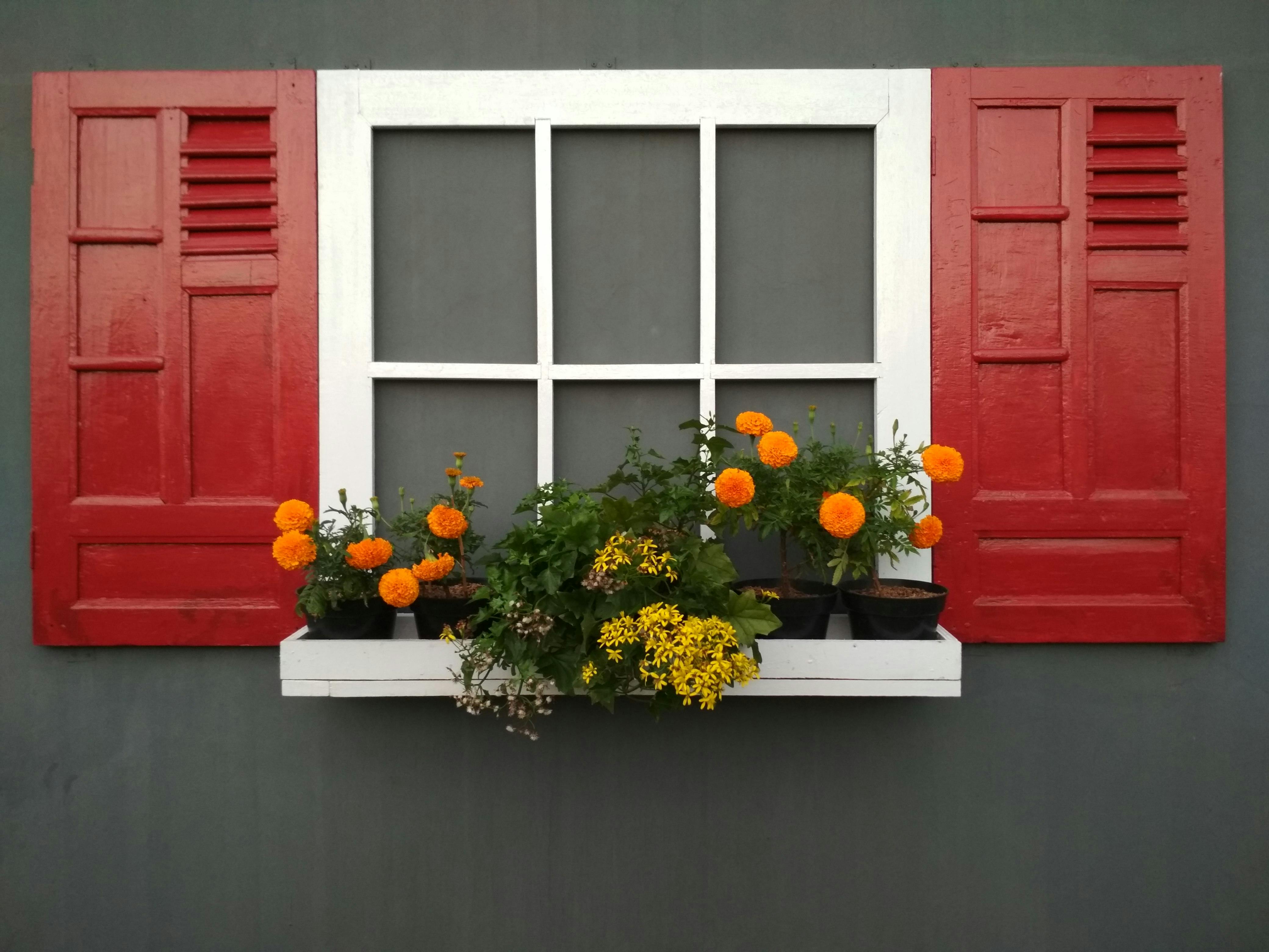 Free stock photo of red window, vintage window, windows