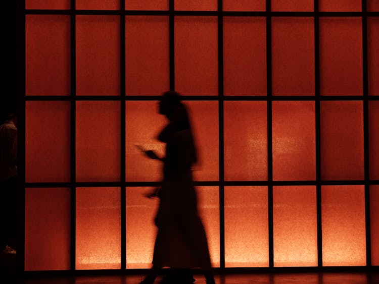 A Blurry Silhouette Of A Woman Walking