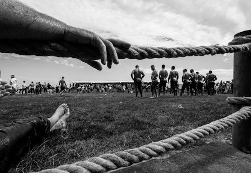 Gratis lagerfoto af bar overkrop, Festival, folk