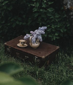 A vintage suitcase topped with a floral vase and tea cup outdoors, embracing rustic charm.