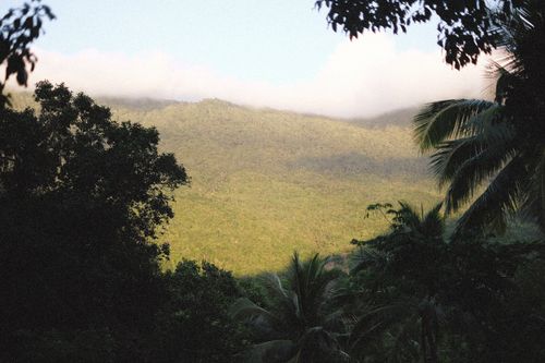 Free Lush tropical forest with misty hills under a clear sky, capturing nature's tranquility. Stock Photo