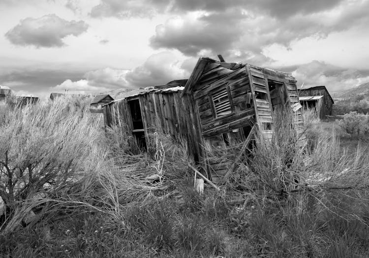 Abandoned Wooden House In Wasteland