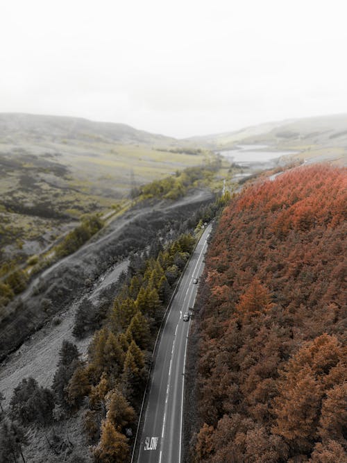 An Aerial Shot of a Road during Autumn
