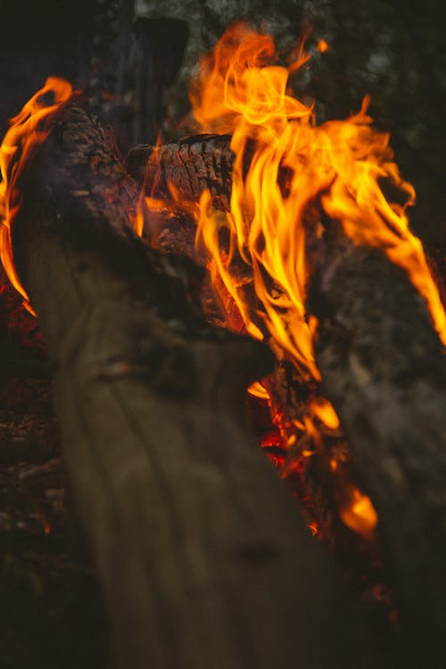 Bezpłatne Darmowe zdjęcie z galerii z ogień, palenie, pionowy strzał Zdjęcie z galerii