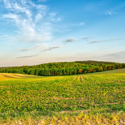Green field under a wide sky, photo by Nikolett Emmert on Pexels