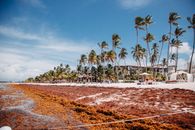 Tropical storms Images