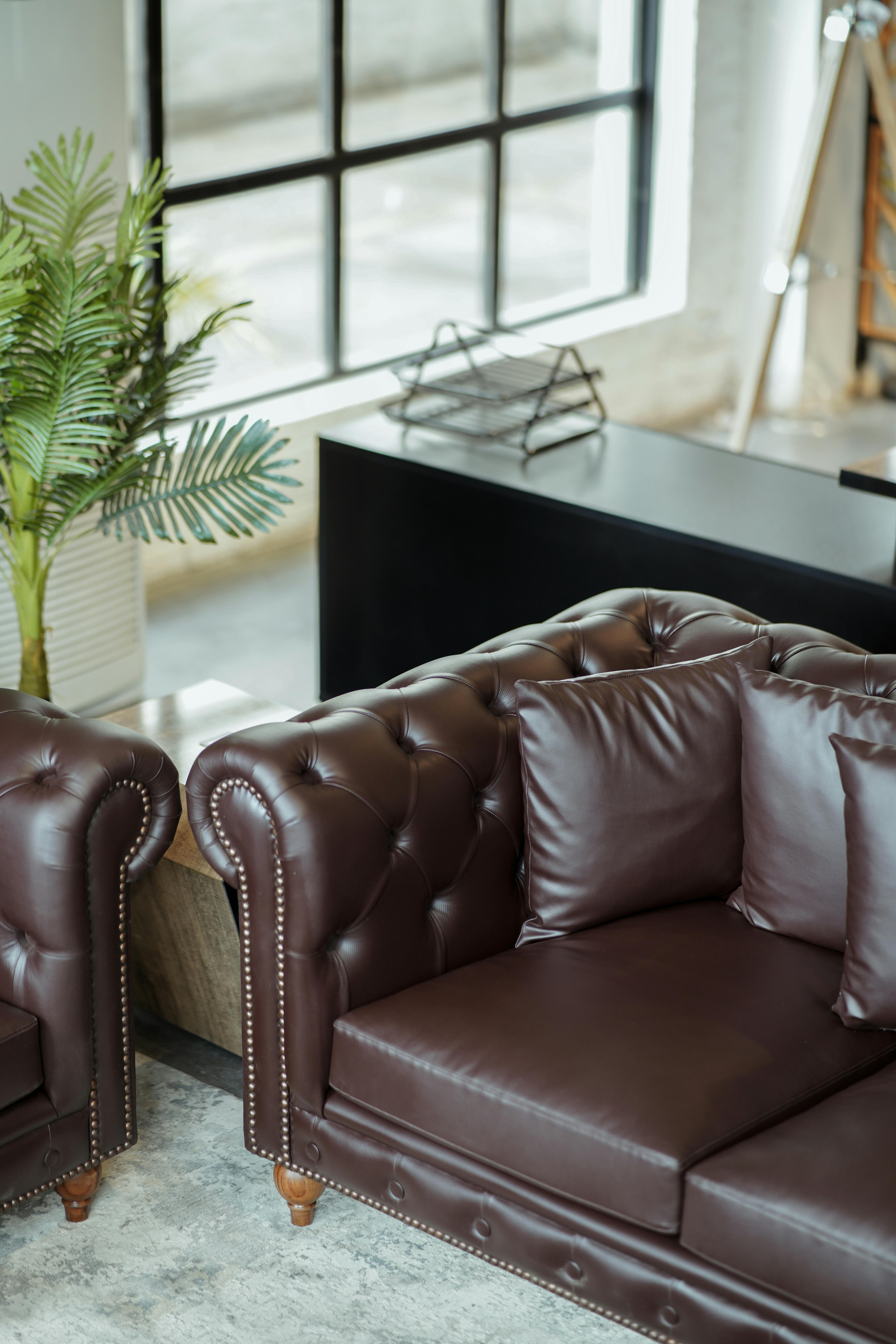 What millionaires do for a living?