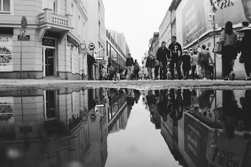 Grayscale Photography of Body of Water