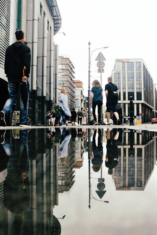 Free プードルが反射を見せてコンクリートの床を歩く人々のグループ Stock Photo