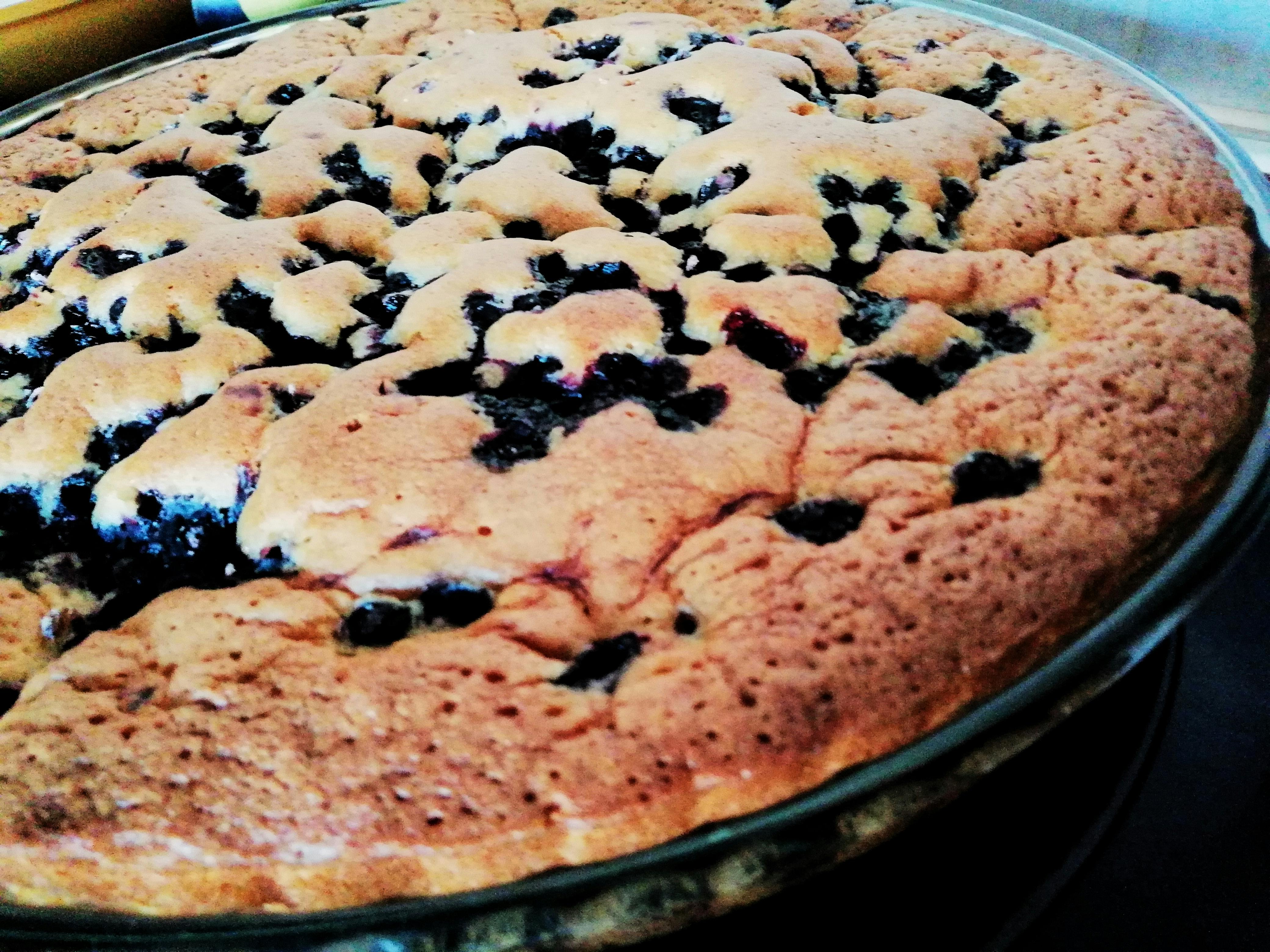 Free stock photo of blueberries, delicious, homemade