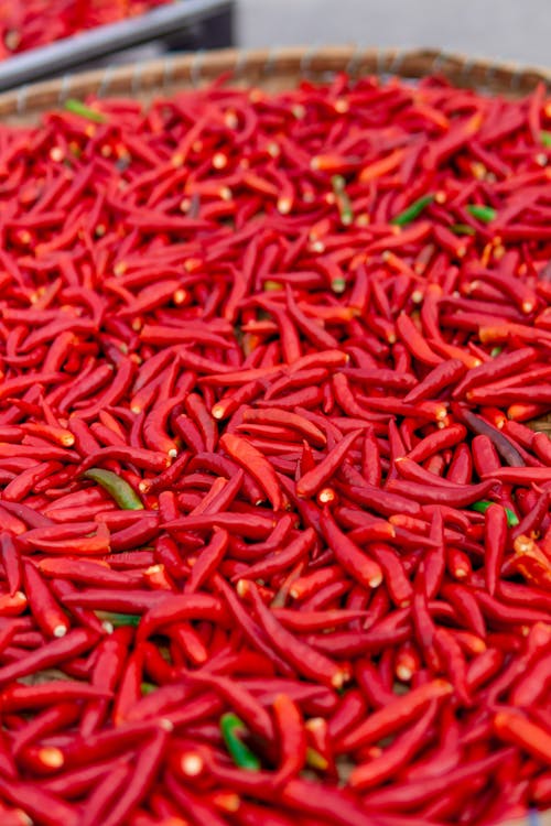 Kostnadsfri bild av chili, färsk, närbild