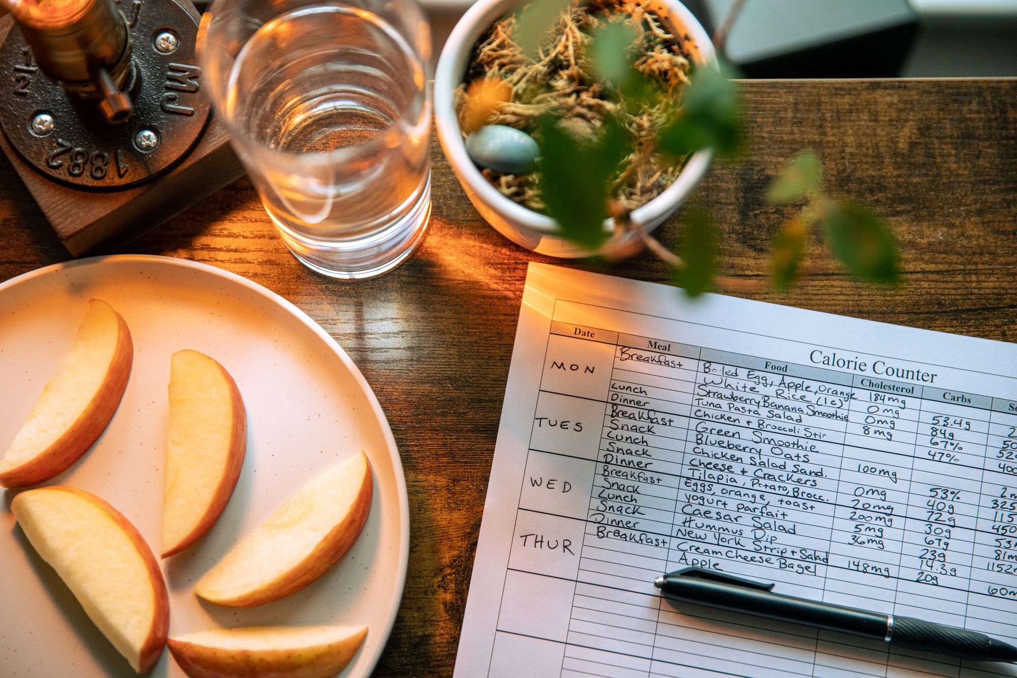 Best Diet Plan for Working Women