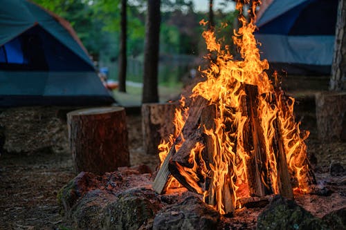 Kostenloses Stock Foto zu brennholz, campen, flammen