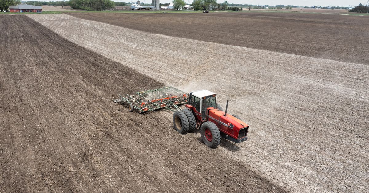 Las 15 innovaciones agrícolas que multiplicaron la población mundial Las 15 innovaciones agrícolas que multiplicaron la población mundial