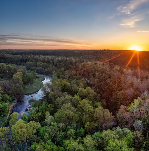 Darmowe zdjęcie z galerii z drzewa, fotografia lotnicza, rzeka