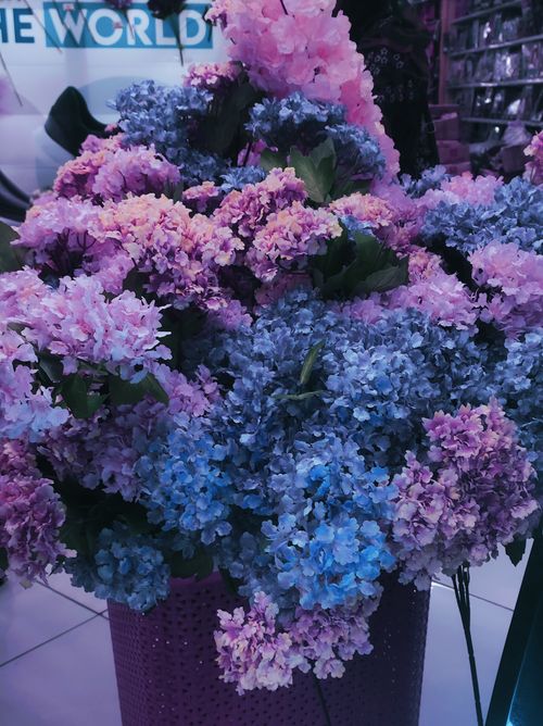 Free stock photo of artificial flowers, baby breath, beauty Stock Photo