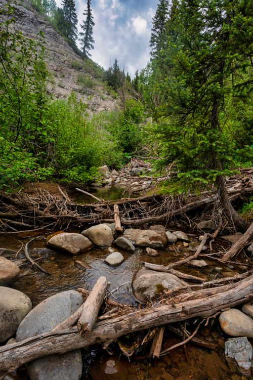 Free Explore the serene mountain stream surrounded by lush greenery and rocky terrain. Stock Photo