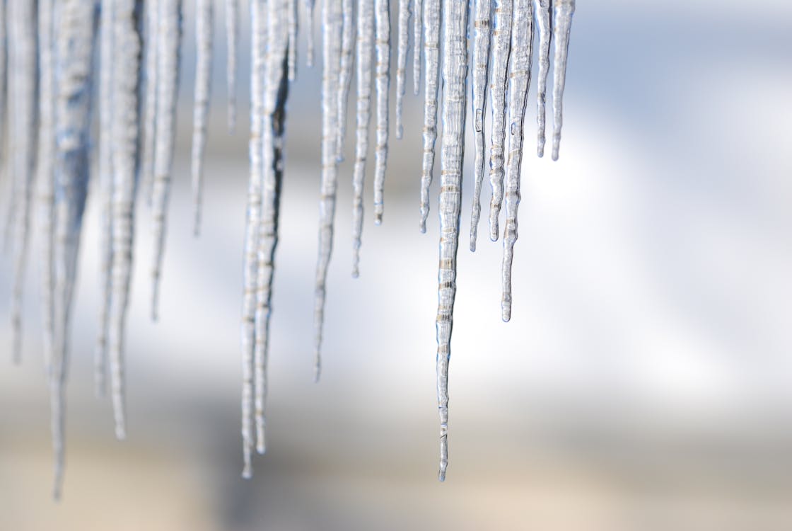 Foto d'estoc gratuïta de caramells, clima fred, congelant