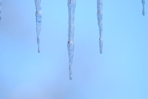 Foto d'estoc gratuïta de caramells, gel, hivern