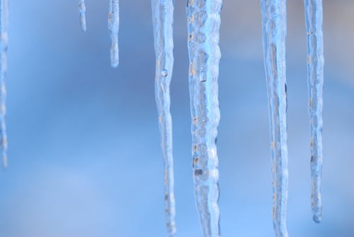 Darmowe zdjęcie z galerii z lód, śnieg, sople