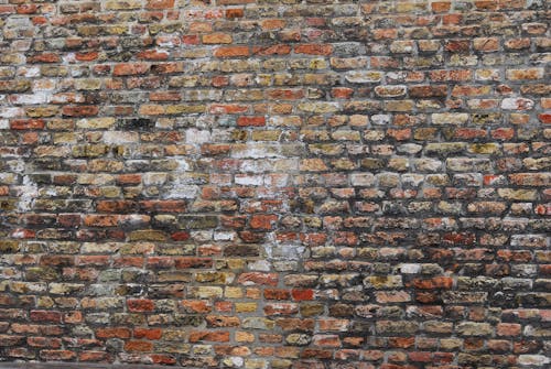 Photo of a Brick Wall