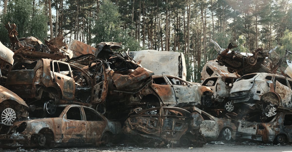A pile of rusted, destroyed cars abandoned in a forest junkyard, symbolizing waste and decay.