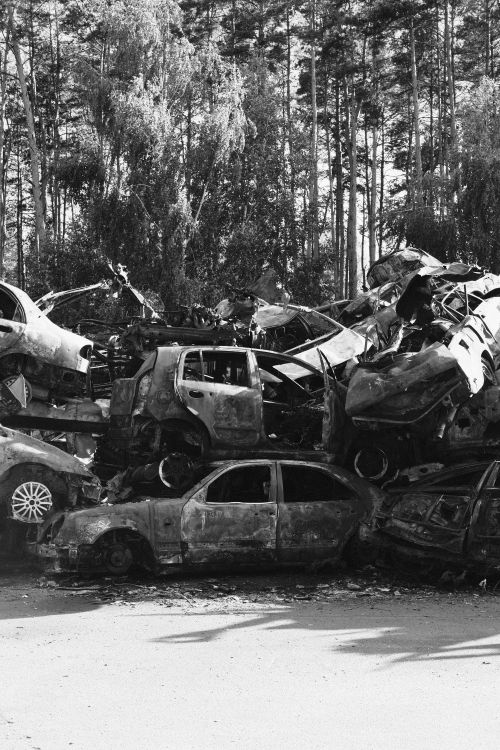 Free A pile of wrecked and rusty vehicles in a junkyard surrounded by trees. Stock Photo