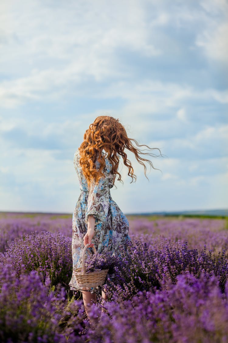 Woman In Dress Walking In Lavender Field 