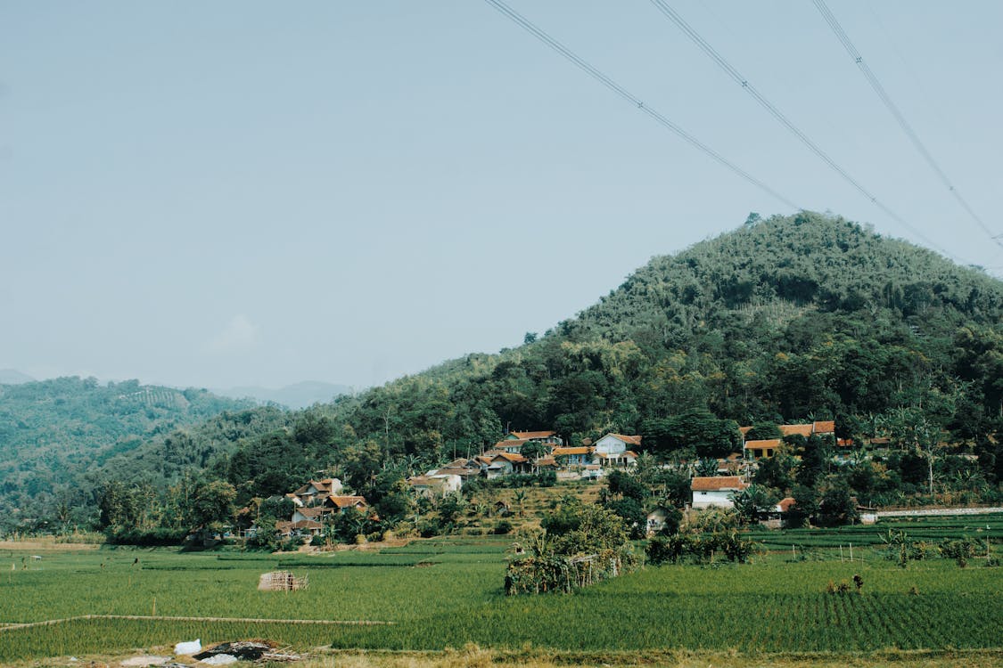 Village Near Mountain