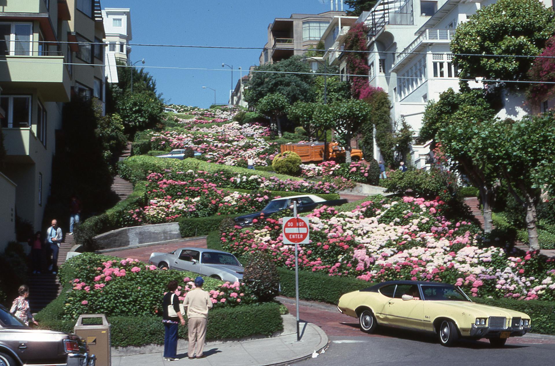 Vibrant flowers line San Francisco's famous Lombard Street with cars and tourists.