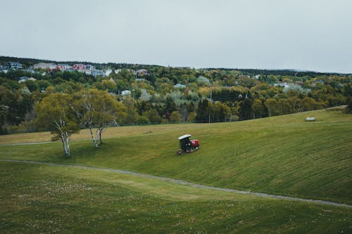 Foto profissional grátis de agricultura, área, árvores verdes