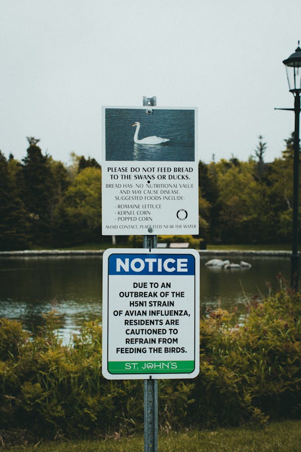 White and Blue Signage Near Lake