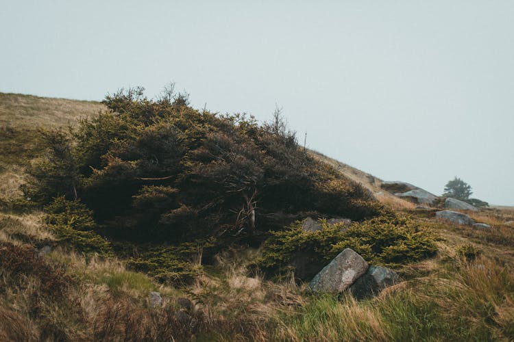 Green Hill With Rocks In Nature