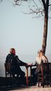 A Couple Sitting on Wooden Chairs Near a Body of Water