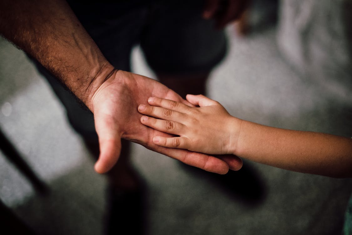 父と子の手を合わせる