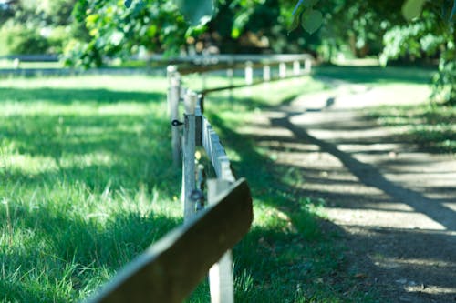 Základová fotografie zdarma na téma detail, dřevěný plot, selektivní ohnisko