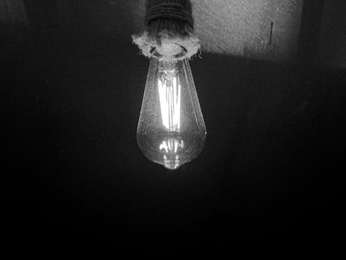 Black and White Photo of a Bulb